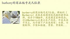 ͱ۸,burberryƷǼλ