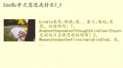 kindleĶ,kindle˼ʲô?_?