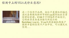  visa,ÿϵVISAʲô˼