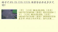 ӳߴձ,ӳߴL XL XXL XXXL ֱʾǶٳѽ