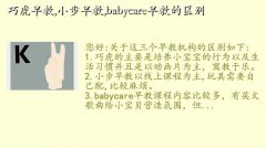 ̲Ʒĸ,ɻ,С,babycare̵
