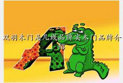 ˫